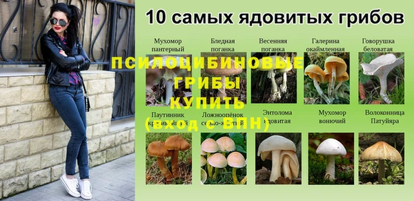 mdpv Волоколамск