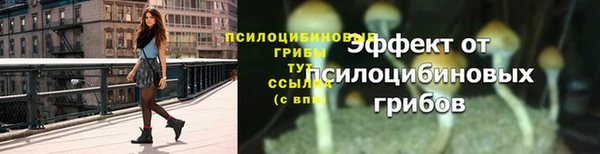 mdpv Волоколамск