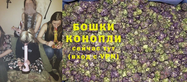 mdpv Волоколамск